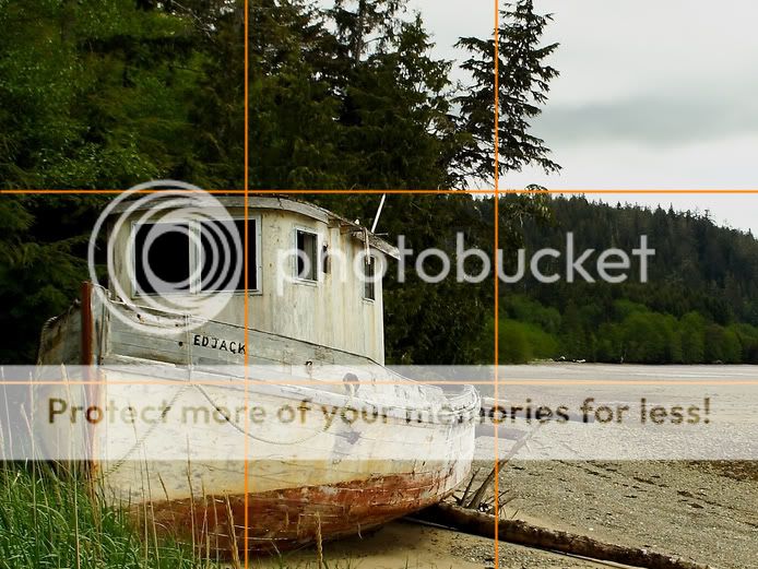 IMAGE: http://i984.photobucket.com/albums/ae322/kohlerphotography/IMG_4653-Copy-Copy.jpg