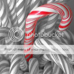 CandyCanes1cp.jpg Christmas image by spongbob_5 CandyCanes1cp.jpg Christmas image by spongbob_5