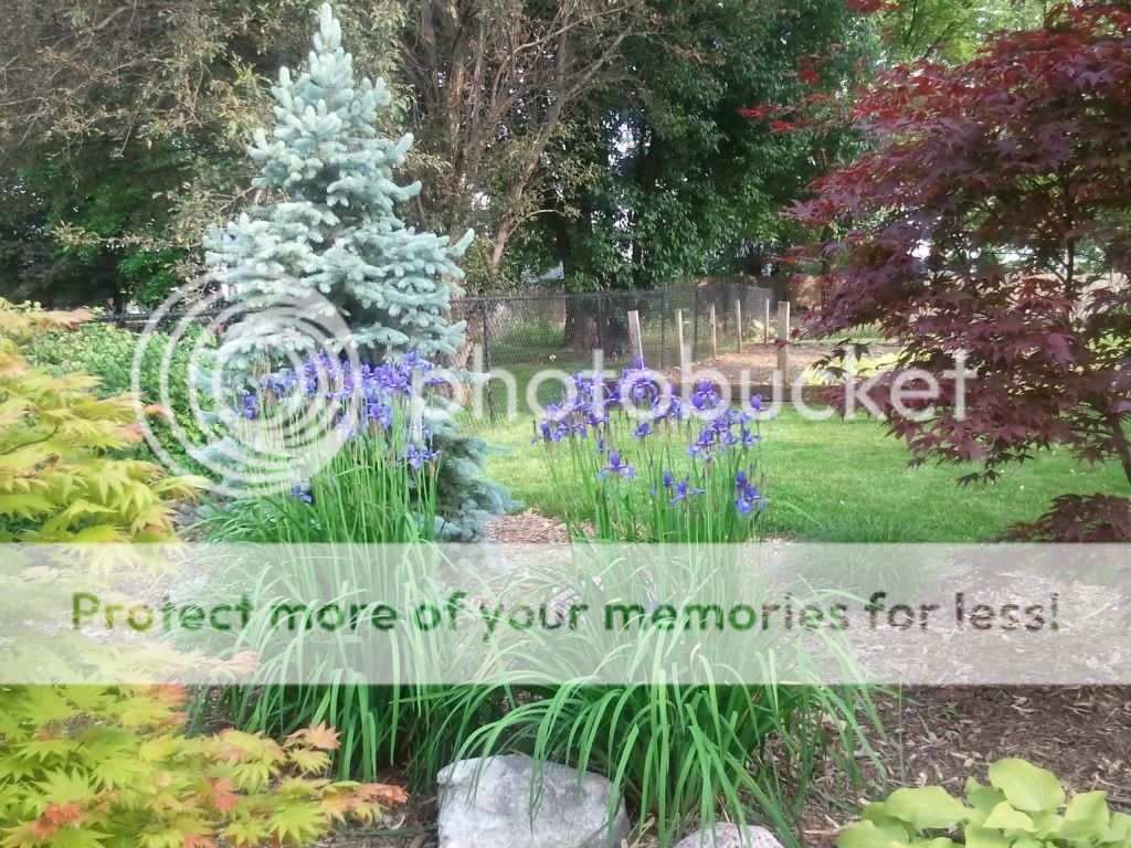 Your Favorite Shade Garden Beds