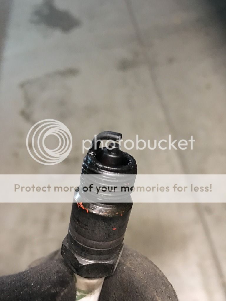 Black Spark Plug Team Chevelle