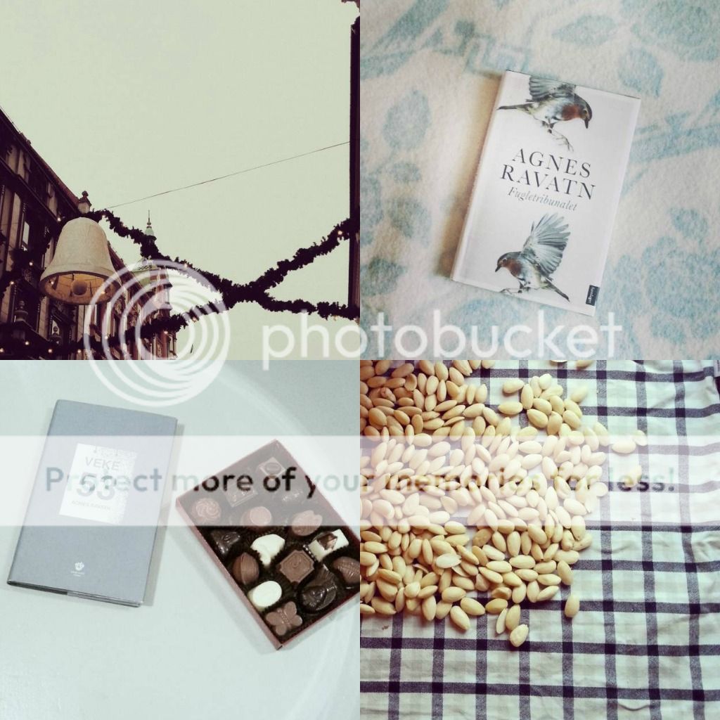 photo Ribbetcollage2_zps9c9a8a1f.jpg
