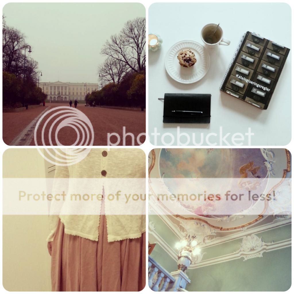 photo Taringke_zpsdc20d73c.jpg