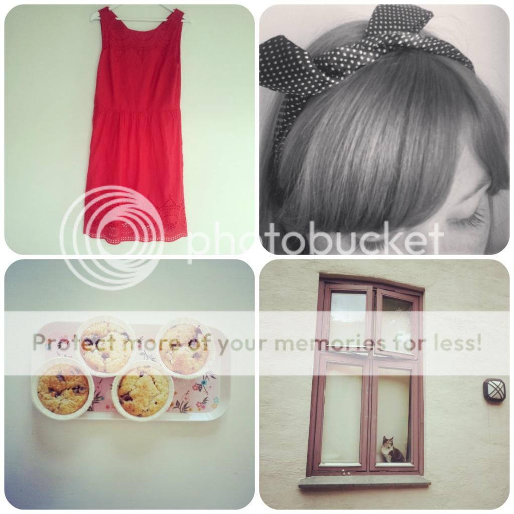 photo collage1_zpsc859006c.jpg