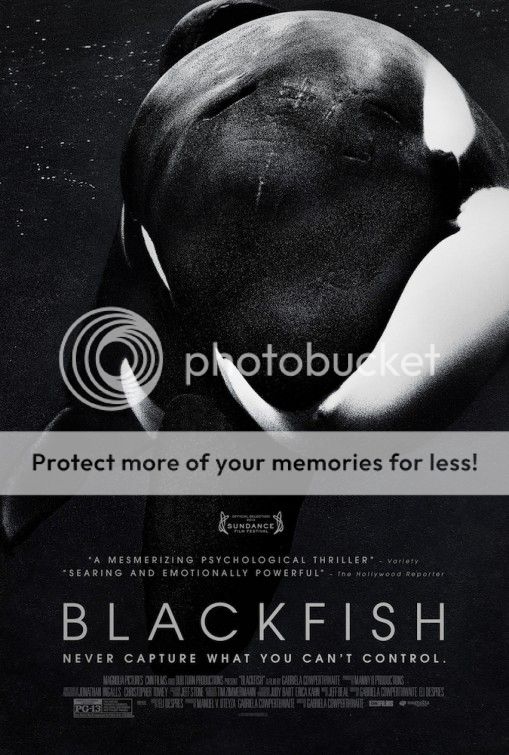 Blackfish