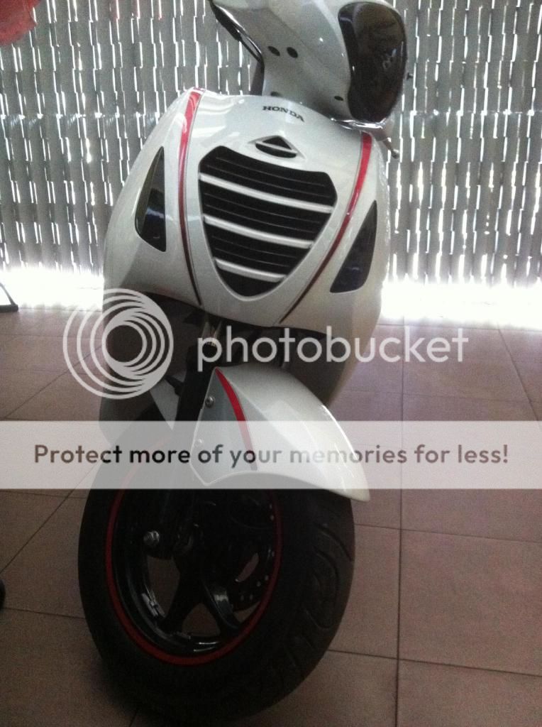 Tiễn gấu iu PS 150i Ý lên đường