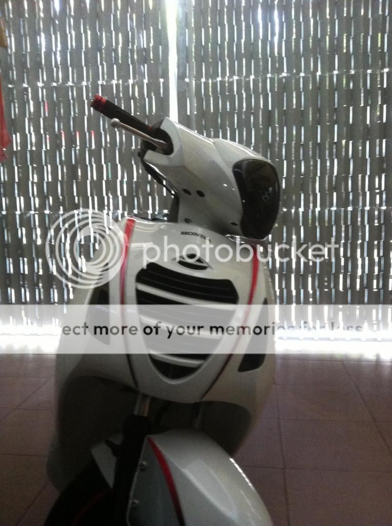 Tiễn gấu iu PS 150i Ý lên đường - 1