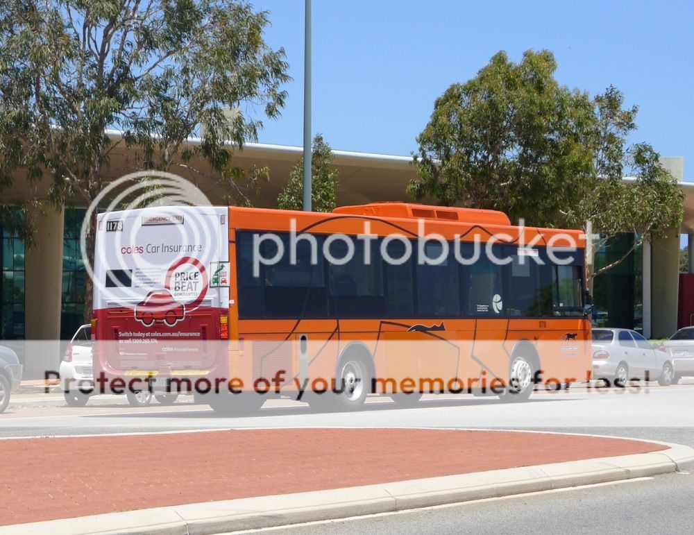 Ginger CAT escapes Fremantle Prison Last seen in Joondalup