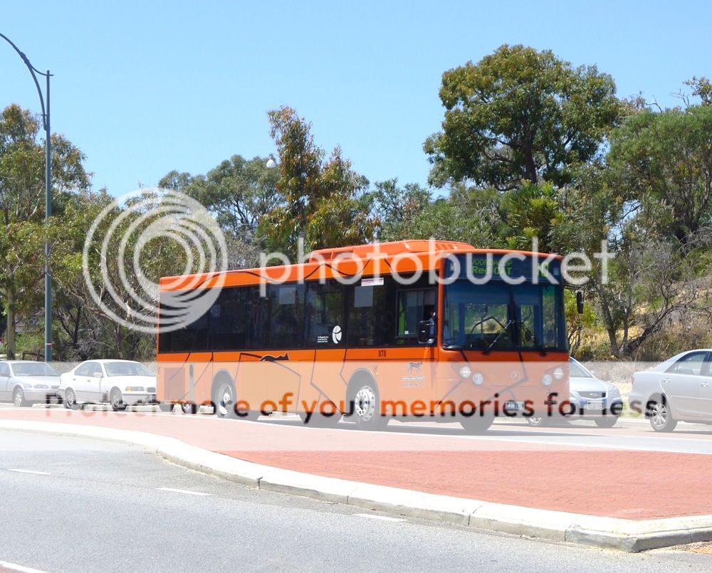 ATDB • View topic Ginger CAT escapes Fremantle Prison Last seen in