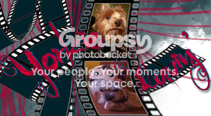 User Image