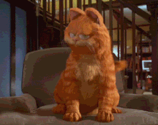 CatDance.gif
