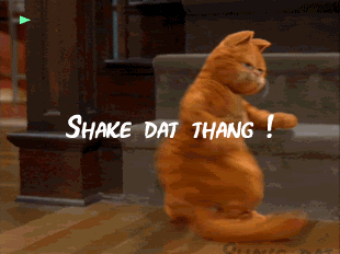 DANCINGCAT219.gif