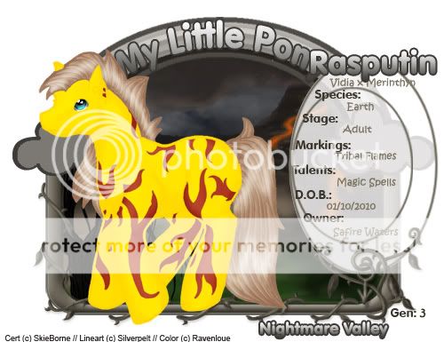 User Image